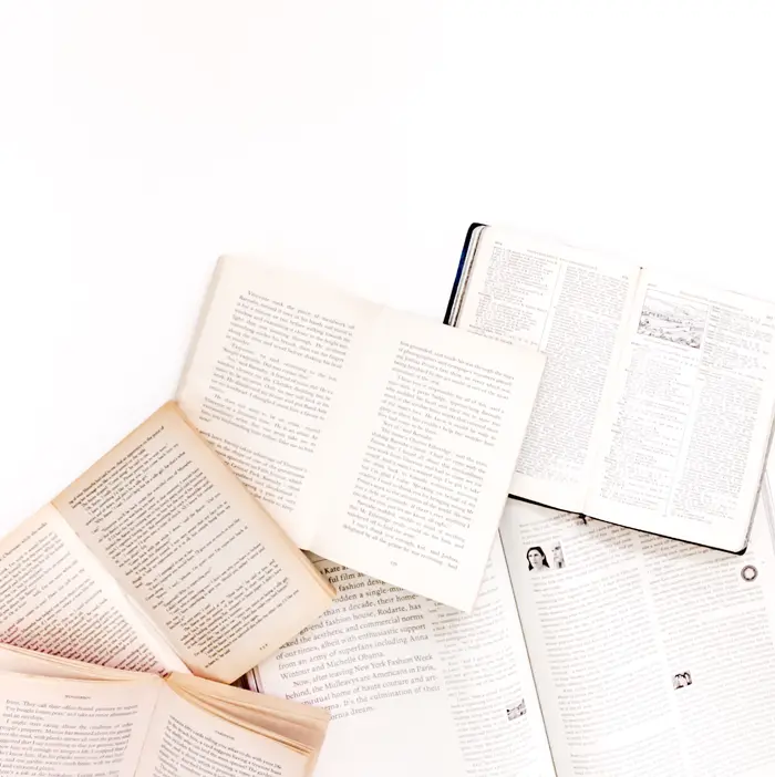 blogue-somos-livros-nuno-judice1