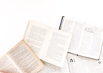 blogue-somos-livros-nuno-judice