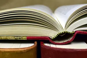 blogue-somos-livros-unesco-dia-da-lingua-portuguesa