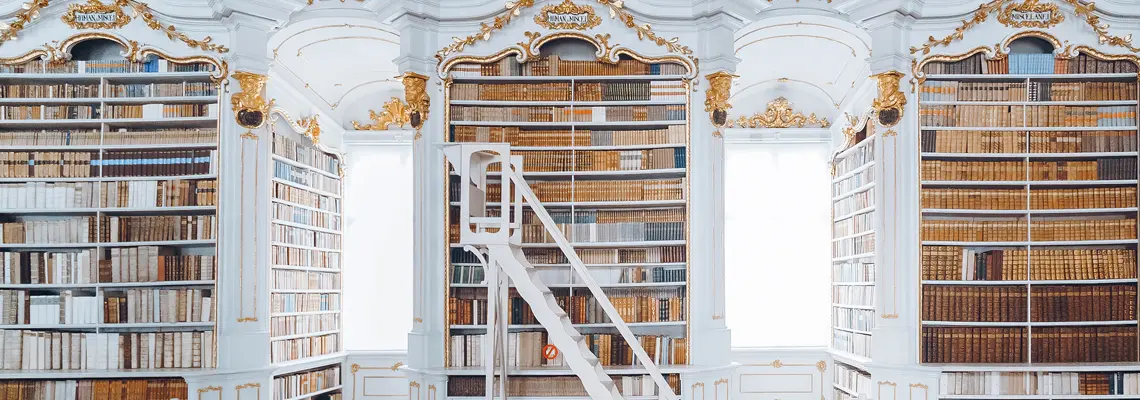 \blogue-somos-livros-bibliotecas-literarias01.png