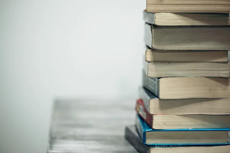 blogue-somos-livros-sharon-mccutcheon-eMP4sYPJ9x0-unsplash-banner.jpg