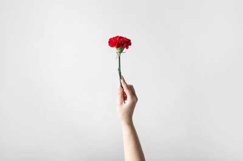 blogue-somos-livros-chayenne-tessari-zanol-RHGGDI5EUCE-unsplash-banner.jpg