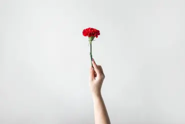 blogue-somos-livros-chayenne-tessari-zanol-RHGGDI5EUCE-unsplash-tile.jpg