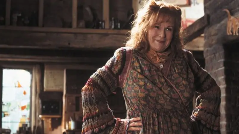 blogue-somos-livros-julie-walters-molly-weasley-banner.jpg