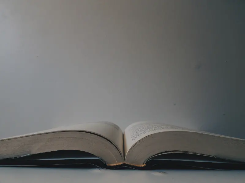 blogue-somos-livros-lalaine-macababbad-1l4ozWuJtP4-unsplash-banner.jpg