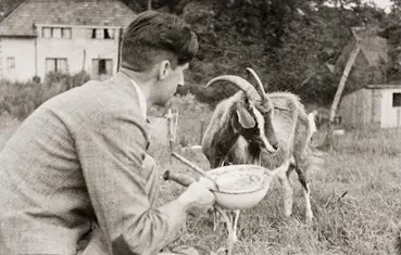 Orwell e Muriel