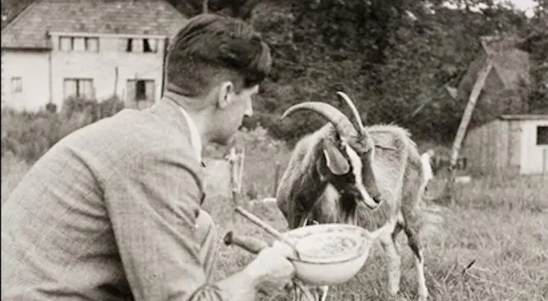 Orwell e Muriel (via British Library)