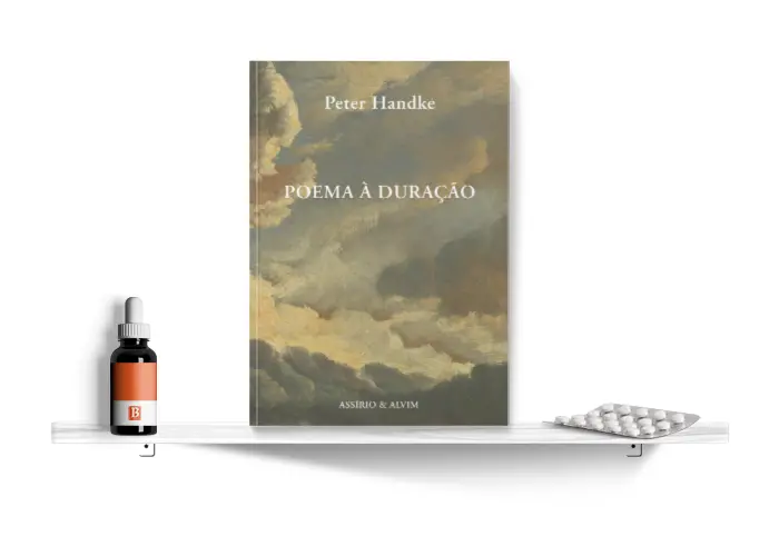 Estante_Biblioterapia_Handke_700x500.png