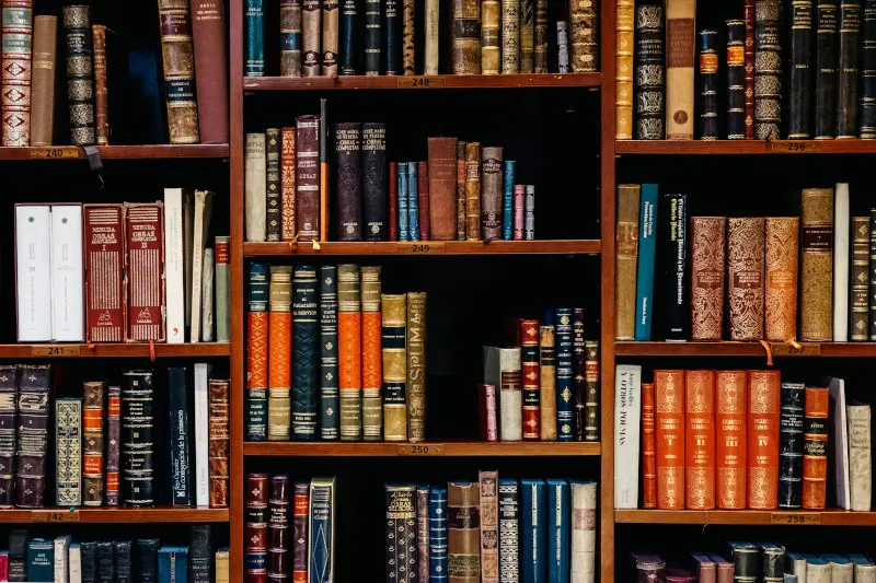 blogue-somos-livros-inaki-del-olmo-NIJuEQw0RKg-unsplash-banner.jpg