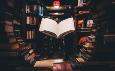 blogue-somos-livros-Livro centro-tile.png