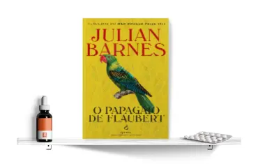 Estante_Biblioterapia_Flaubert_370x235.png