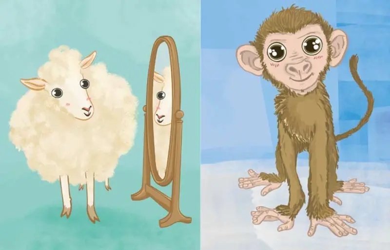 blogue-somos-livros-animales-que-han-cambiado-banner.jpg