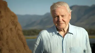 blogue-somos-livros-David-Attenborough-tile.jpg