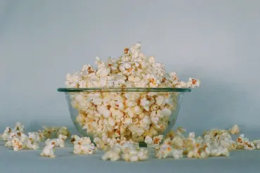 blogue-somos-livros-georgia-vagim-ny-lHmsHYHk-unsplash-tile.jpg