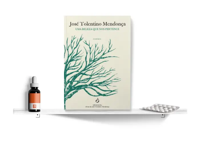 Estante_Biblioterapia_UmaBelezaPertence.png