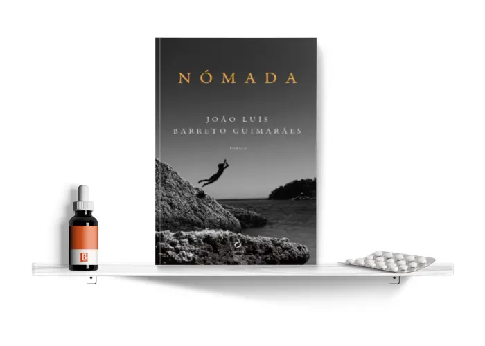 Estante_Biblioterapia_Nomada.png