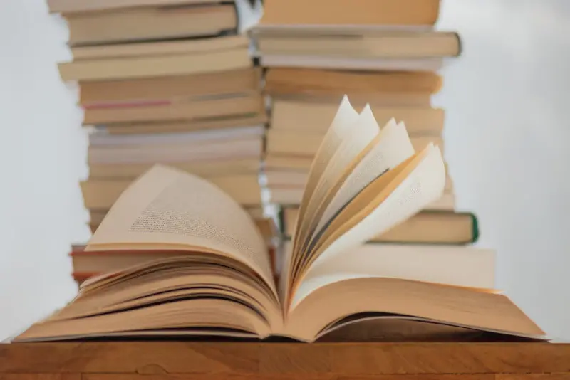 blogue-somos-livros-elisa-calvet-b-S3nUOqDmUvc-unsplash-banner.jpg