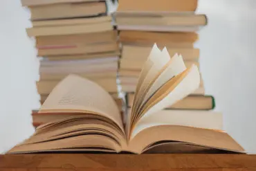 blogue-somos-livros-elisa-calvet-b-S3nUOqDmUvc-unsplash-tile.jpg