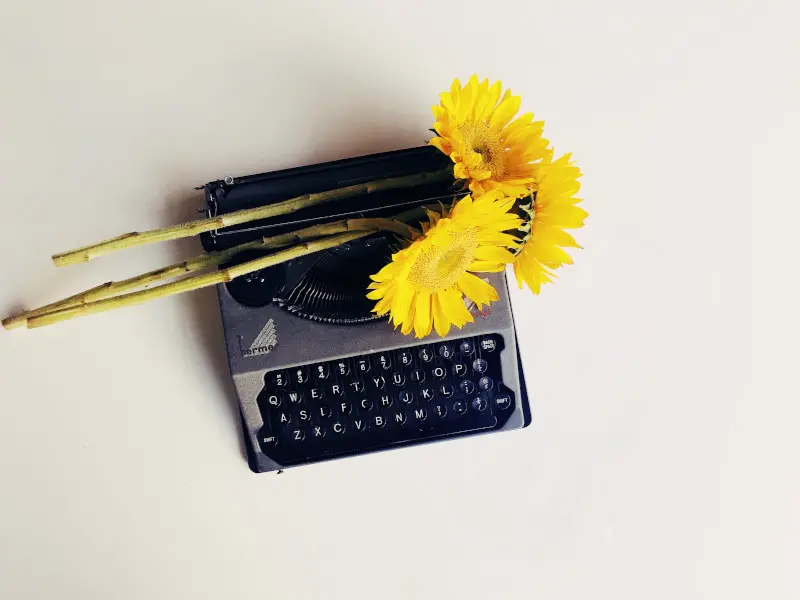 blogue-somos-livros-joyce-mccown-h4BIz4rPPy0-unsplash-banner.jpg