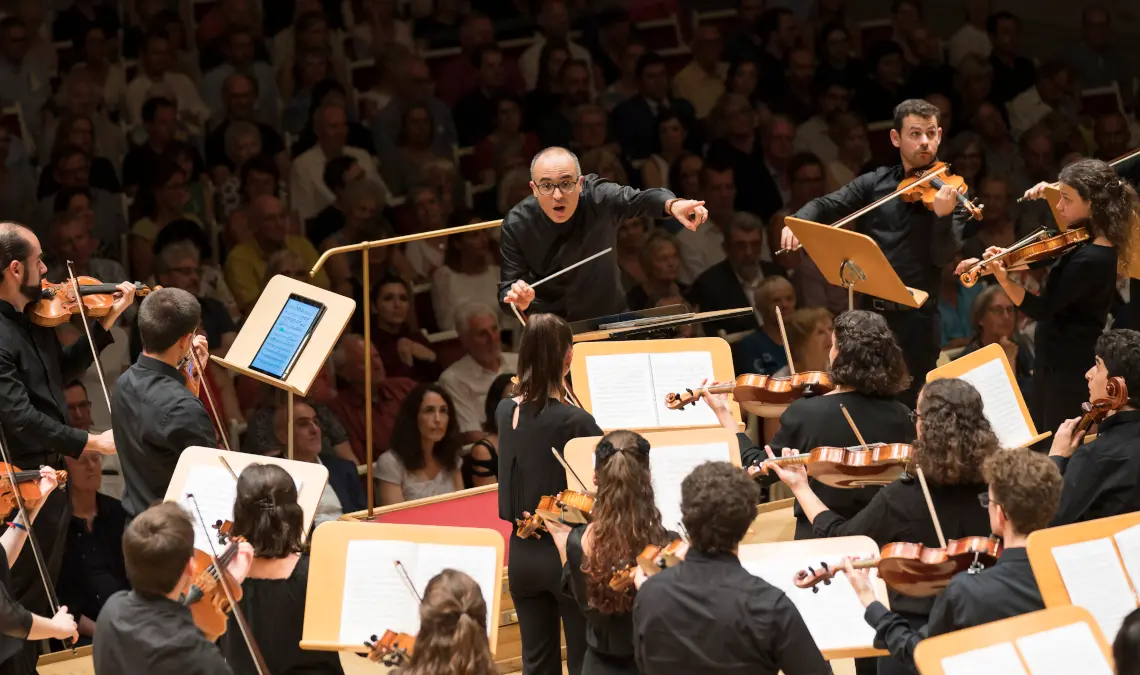 Pedro Carneiro-banner2.jpg