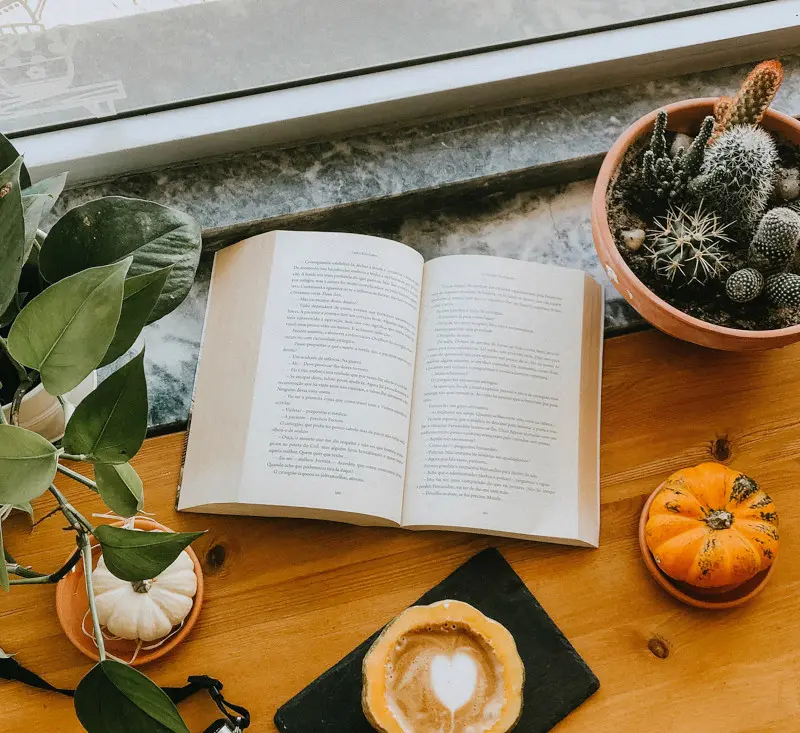 akemy-mory-5JFOwwv07vI-unsplash-banner.jpg