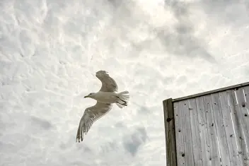 photo-1503542724004-53e16040c0c9.png