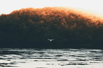 POEMAS DE PEDRO EIRAS Paraíso