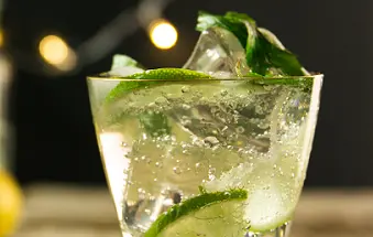 mojito_tile.png