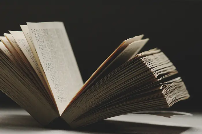 thrillerbook.png