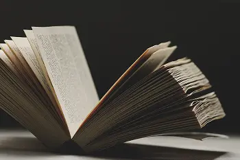 thrillerbook.png