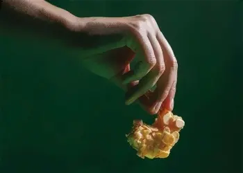 camarao_verde_crop@2x_tile.jpg