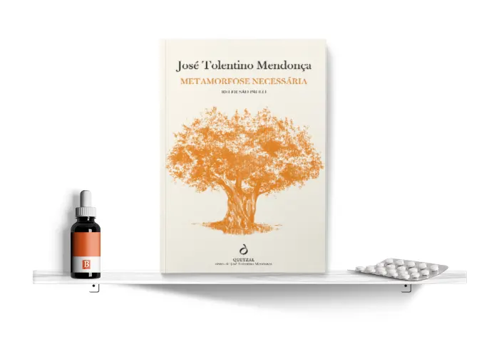 metamorfose nacessaria.png