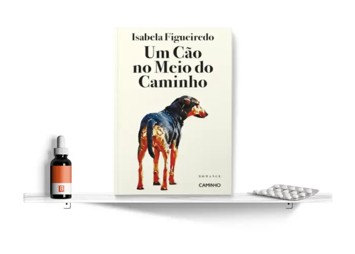 Cao_Estante_Biblioterapia.png