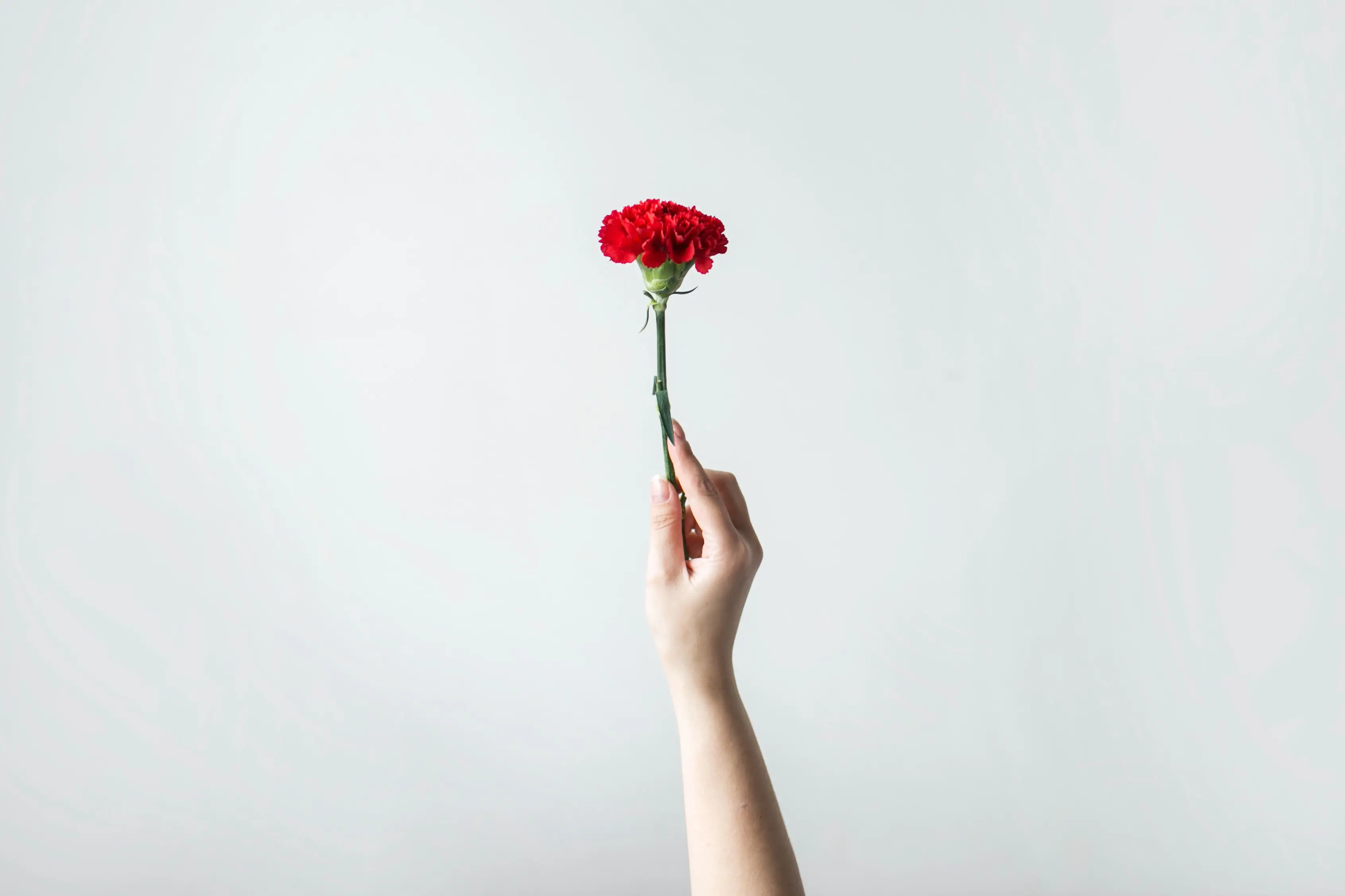 chay-tessari-RHGGDI5EUCE-unsplash.jpg