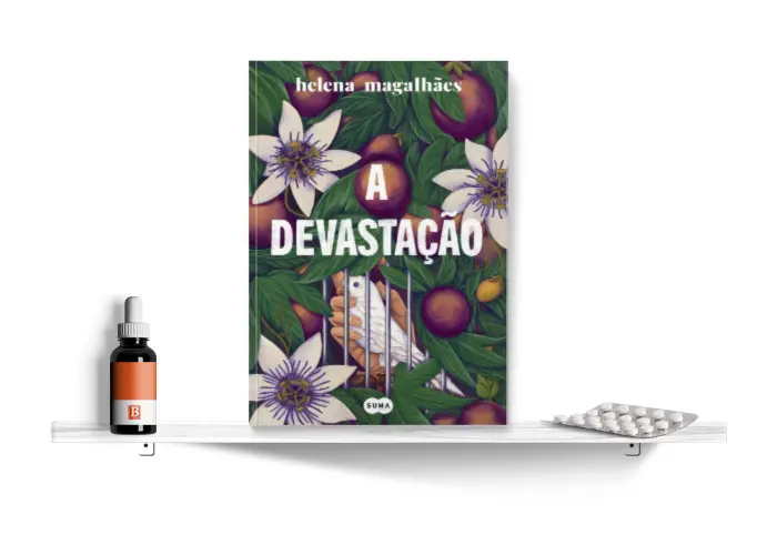 A_devastacao.png