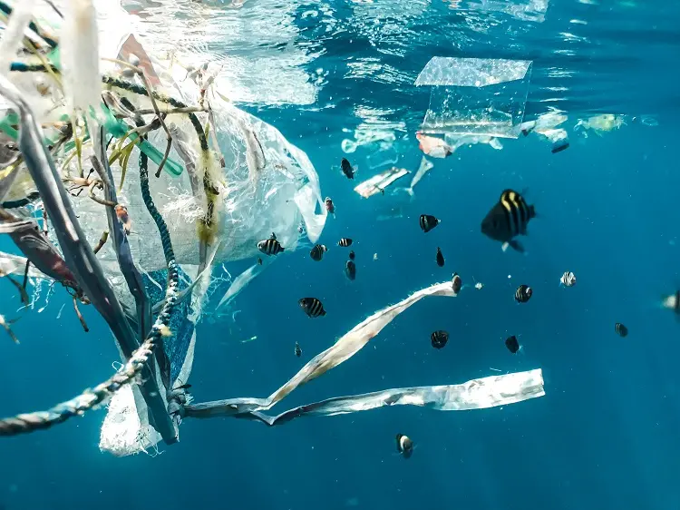 plastico não é plancton.jpg