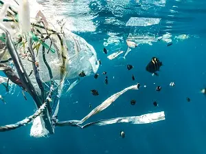 plastico não é plancton_tile.jpg
