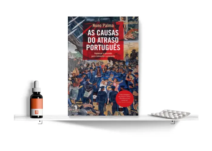 as_causas_do_atraso.png