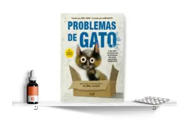 problema-de-gato_tile.png