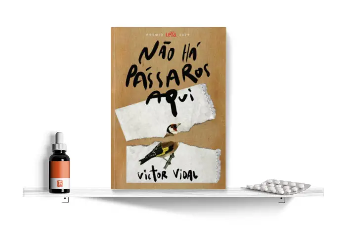 nao-ha-passaros-aqui.jpg