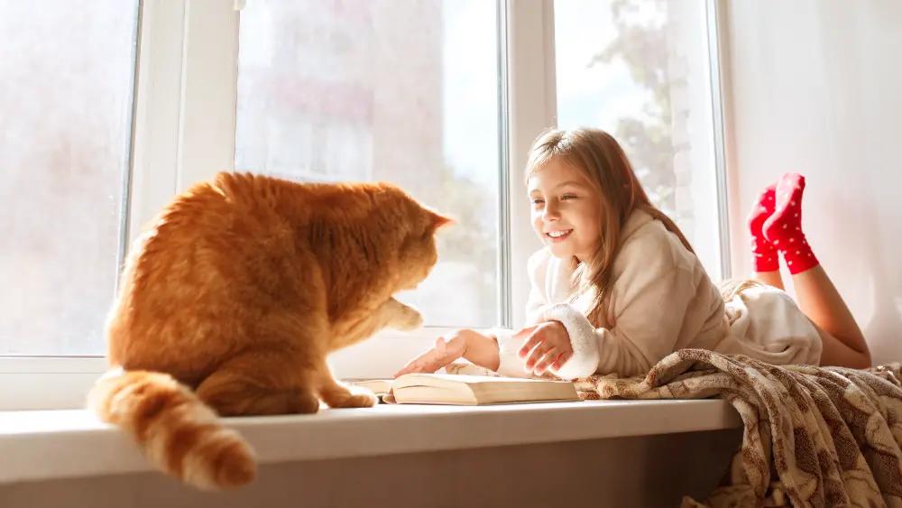 5 sugestões de livros para os pequenos amantes de gatos