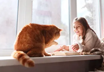5 sugestões de livros para os pequenos amantes de gatos