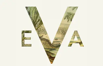 Duas ou três ideias sobre “Eva” – uma teoria feminina da evolução humana