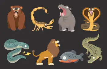 Três dos animais mais atrozes do mundo… adivinhas quais são?