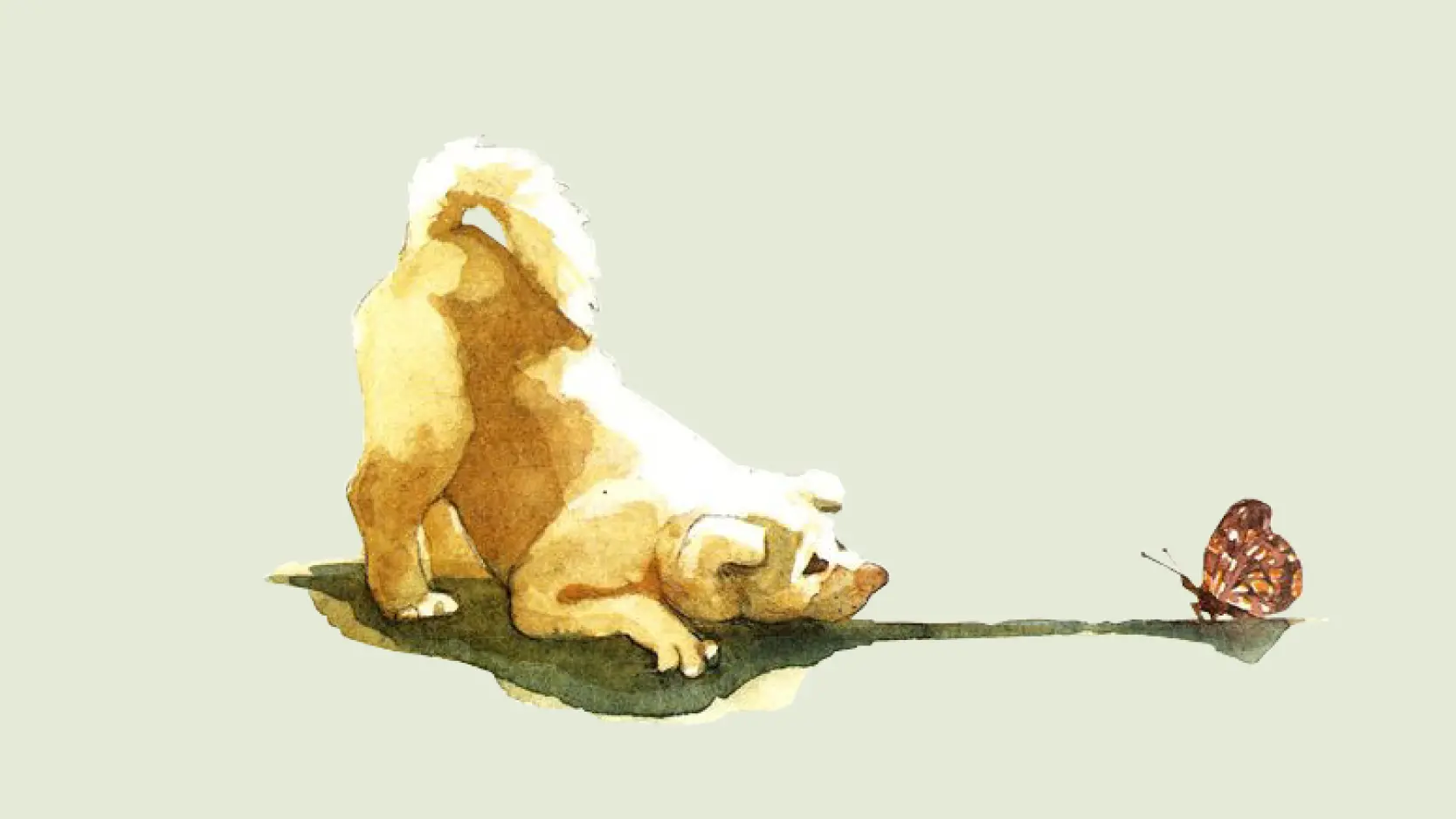29112024_hachiko.png