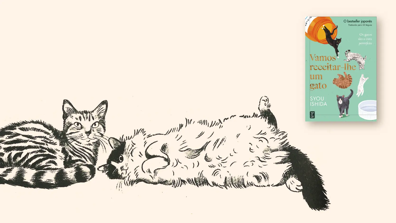 Gatos que curam