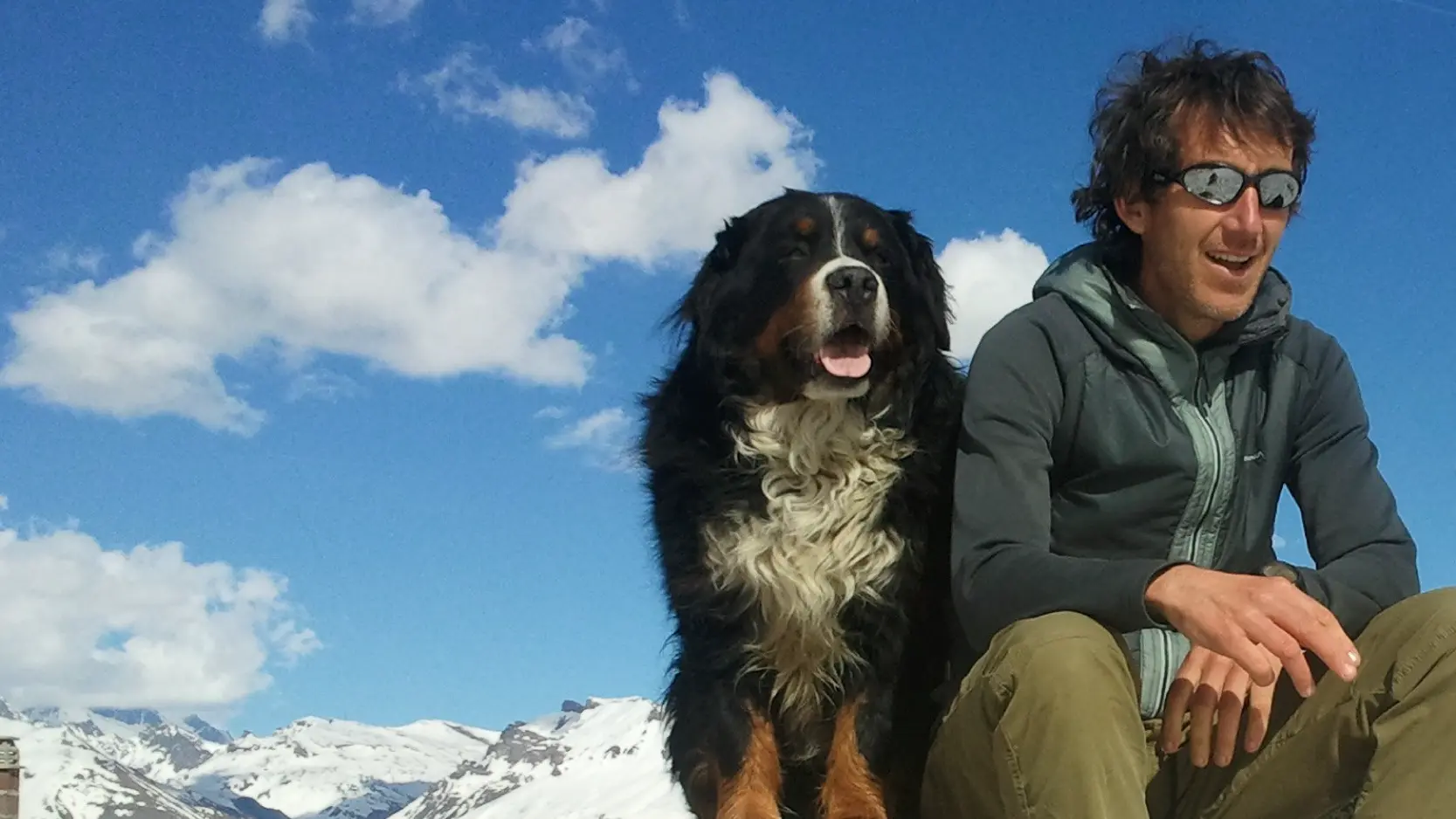 Um fenómeno literário de quatro patas
