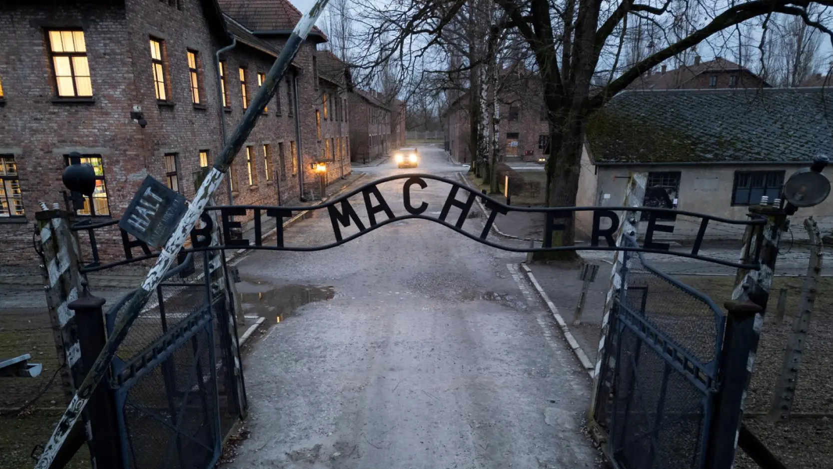 8 livros novos no 80º aniversário do Holocausto