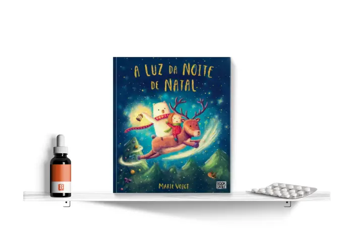 A Luz da Noite de Natal, de Marie Voigt | Bula Literária