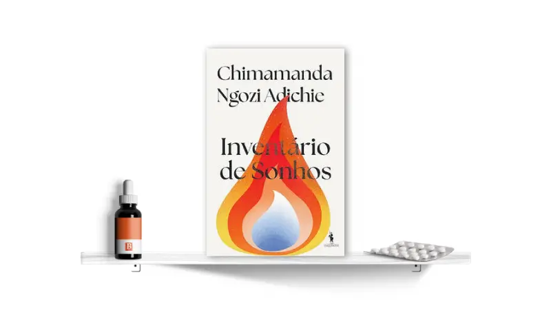 Inventário de Sonhos, de Chimamanda Ngozi Adichie | Bula Literária